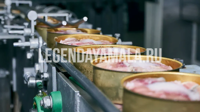 рыбные консервы салехард