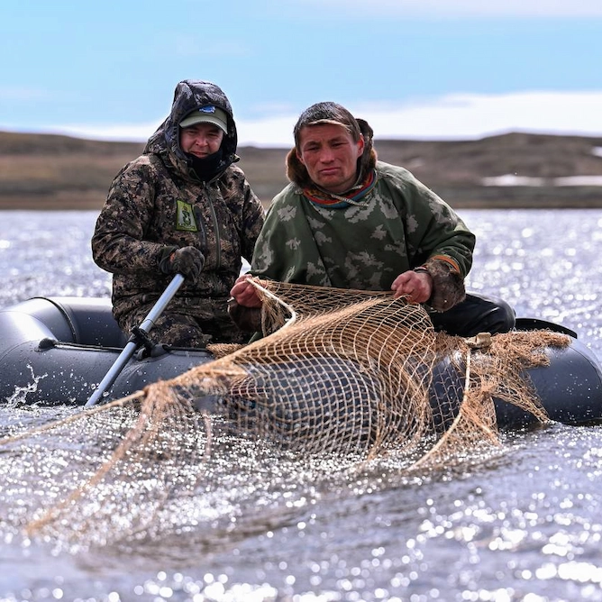 где рыба оптом