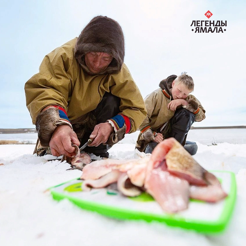 легенда ямала официальный сайт