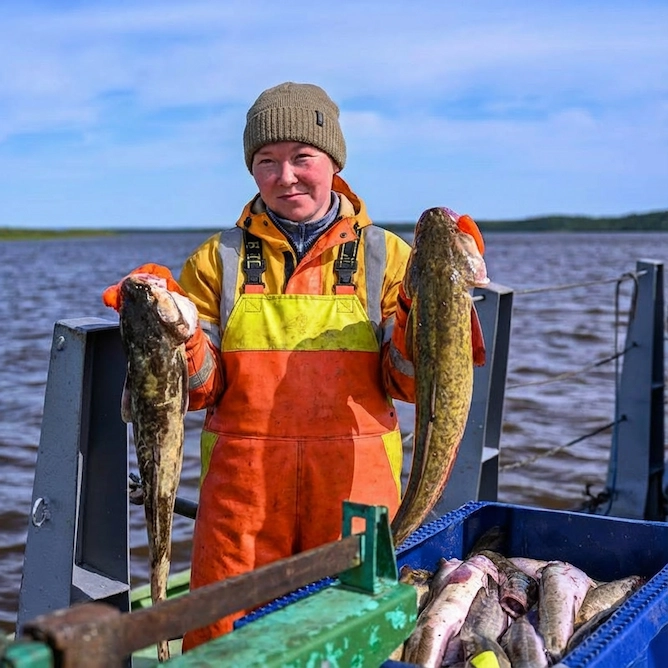 рыба мороженная оптом