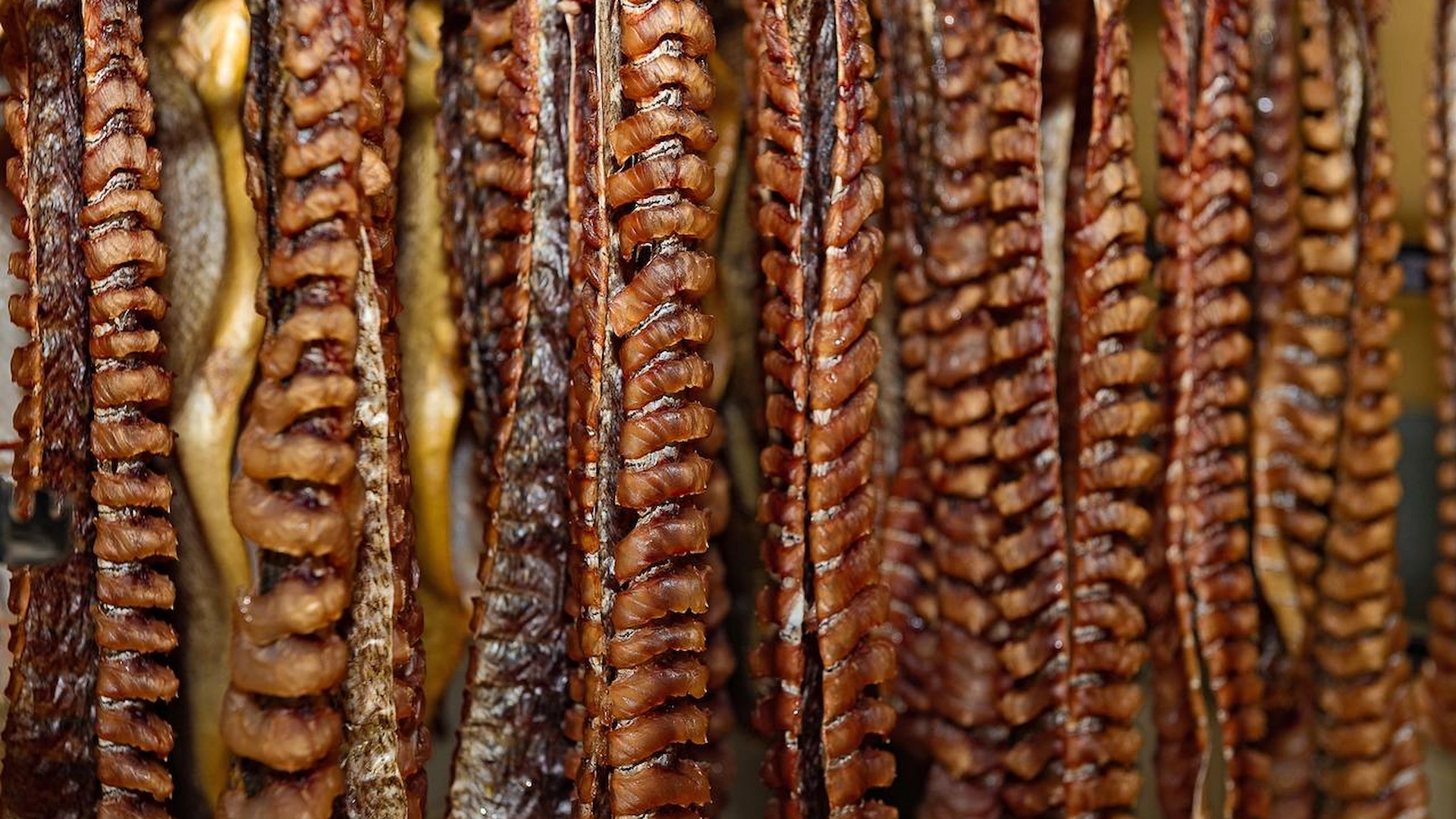 салехардский комбинат продукция