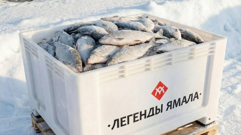 сырок рыба купить