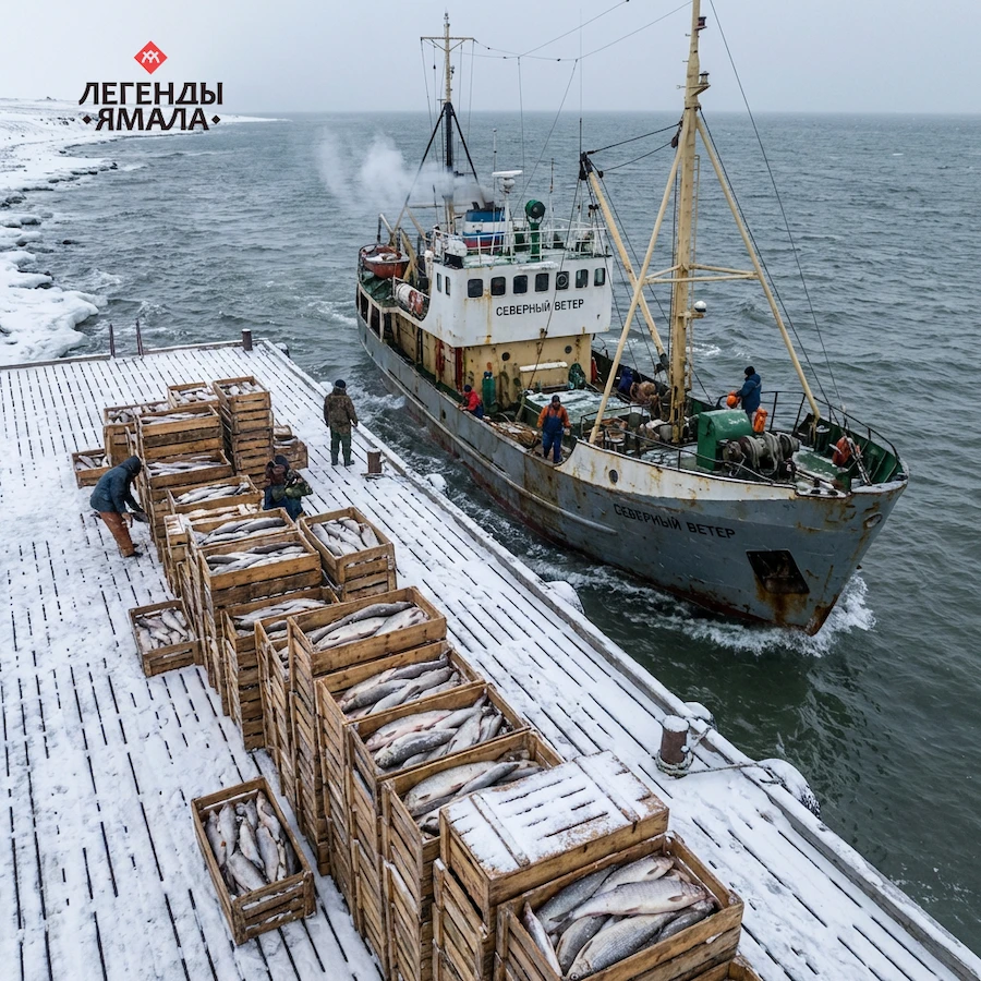 купить рыбу оптом