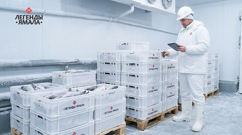 язь рыба цена